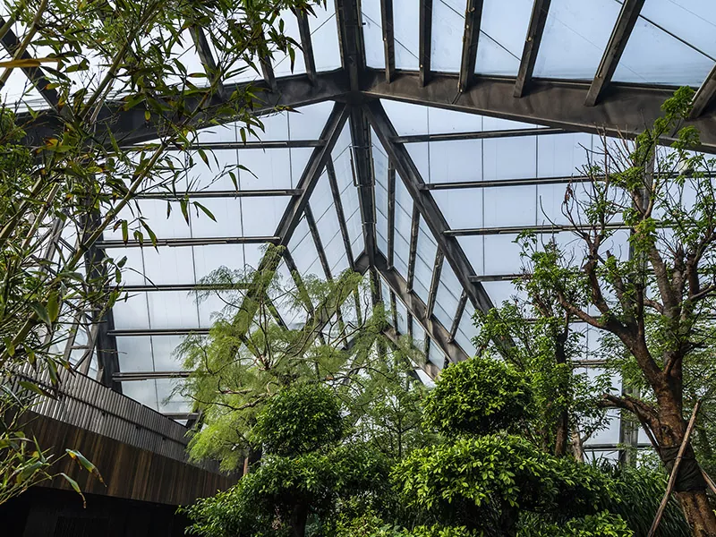 Sala botanică a structurii oțelului