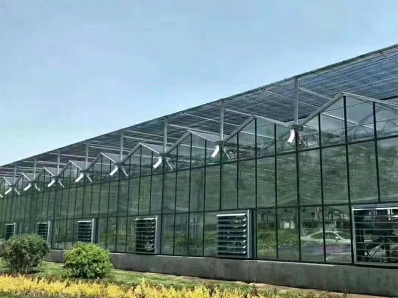 Ce fel de culturi pot fi cultivate într -o fermă verticală din oțel?